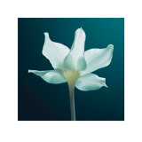 Light and Shadow Prints by Ian Winstanley