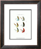 Lake Flies II Art