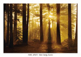 Tahoe Smoky Sunrise Affiche par Mike Jones