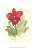 Elissa's Garden I Prints by Elissa Della-piana