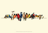Bird Menagerie III Prints by Wendy Russell