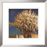Processional Prints by Gustave Baumann