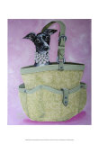 Italian Greyhound Basket Poster by Carol Dillon
