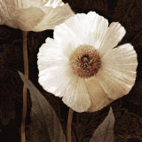Paisley Poppy II Affiches par Keith Mallett