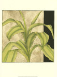 Leaf Tropics I Láminas por Jennifer Goldberger Leaf Tropics I Láminas por Jennifer Goldberger