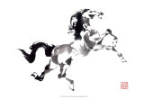 The Prince Prints by Nan Rae