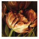 Color Harmony II Print by Linda Thompson