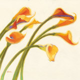 Callas in the Wind I Prints by Shirley Novak