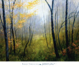 Woodland Mist Prints by Robert Striffolino