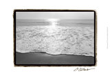 Ocean Sunrise III Posters par Laura Denardo