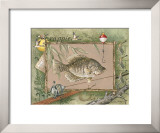 Crappie Posters by Anita Phillips