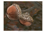 Quercus Palustris II Prints by Alicia Ludwig