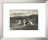 Foxhounds Posters by John Scott