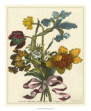 Floral Posy IV Poster by Giovanni Ferrari