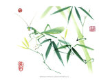Mantis Affiches par Nan Rae