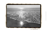 Ocean Sunrise I Posters par Laura Denardo