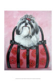 Shih-tzu Purse Art by Carol Dillon