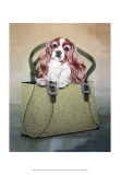 Cavalier and Carry Posters by Carol Dillon