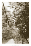Royal Botanical Garden, Madrid Posters par Meg Mccomb