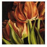 Color Harmony I Prints by Linda Thompson