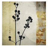 Sombras de Oro II Posters by Noah Li-Leger