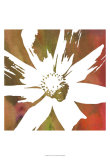 Peace Flowers I Prints by James Burghardt