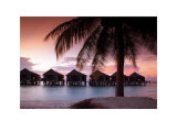 Water Villas at Sunset, Kuredu, Maldives Kunst von Tom Mackie