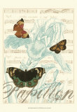 Papillon Melange III Láminas Papillon Melange III Láminas
