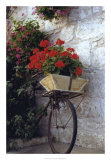 Flower Box Bike Posters by Meg Mccomb