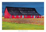 Big Red Posters by Burney Lieberman