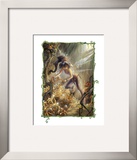 Vidia and the Fairy Crown Art