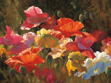 Poppies in Sunshine Poster by Leon Roulette