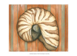 Shell on Stripes IV Prints by Laura Nathan
