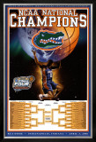 University of Florida Poster