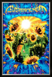 Terrapin Sunflower Prints