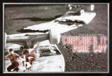 Pure Joy Prints
