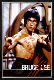 Bruce Lee Poster
