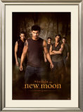 Twilight - New Moon Posters
