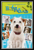 Hotel for Dogs Print