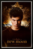 Twilight - New Moon Posters