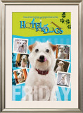 Hotel for Dogs Photo