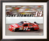 Tony Stewart 14 Prints