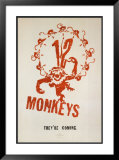 12 Monkeys Photo