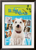 Hotel for Dogs Print
