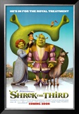 Shrek 3 Print