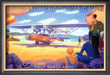 Palm Beach Aero Prints by Kerne Erickson