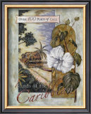 Islands of the Caribbean Prints by Roy Avis