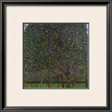 Pear Tree Framed Giclee Print by Gustav Klimt