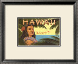 Hawaii, Aloha Prints