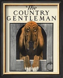 Bloodhound, c.1916 Framed Giclee Print by Charles Livingston Bull